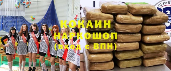 ешки Алексин
