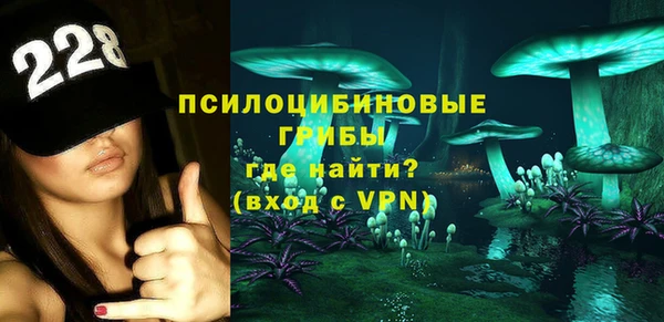 ешки Алексин