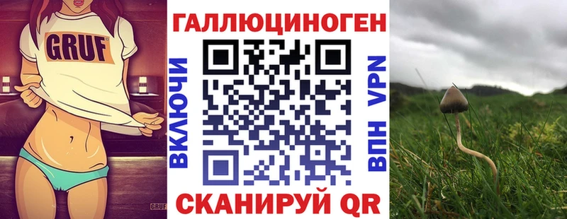 blacksprut ссылка  Йошкар-Ола  Галлюциногенные грибы GOLDEN TEACHER 