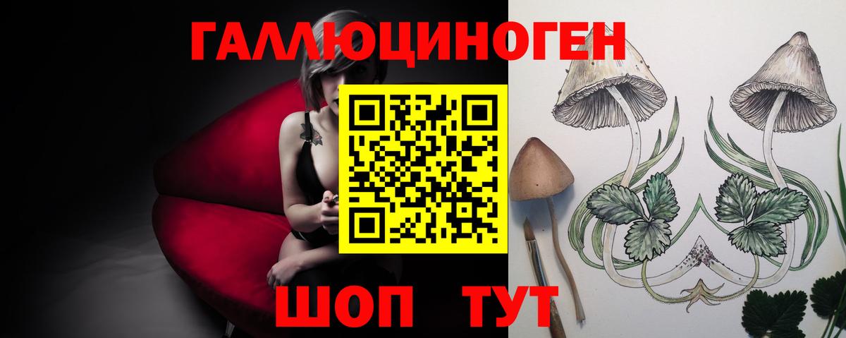 Псилоцибиновые грибы Psilocybe  Галлюциногенные грибы прущие грибы  Вход с VPN  Йошкар-Ола 