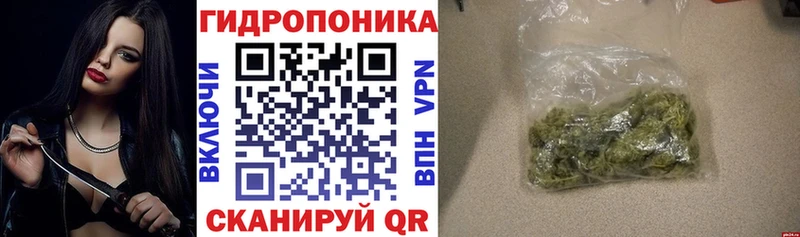 Бошки марихуана марихуана  где продают   Йошкар-Ола 